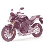 honda-cb-600-f-hornet-2007 2
