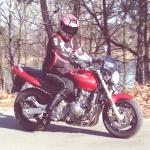 honda-cb-600-f-hornet-2007 3