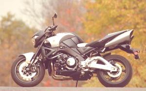 suzuki-b-king03
